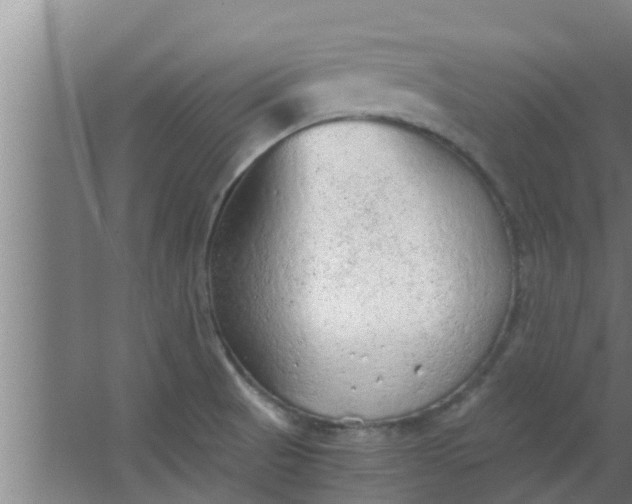 X0000063471521200602031846