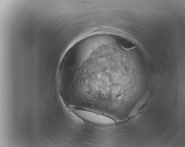 X0000063471522200602031846