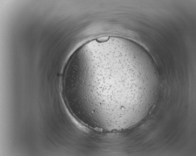 X0000063471523200602031846