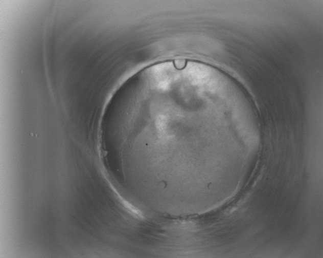 X0000063471525200602031846