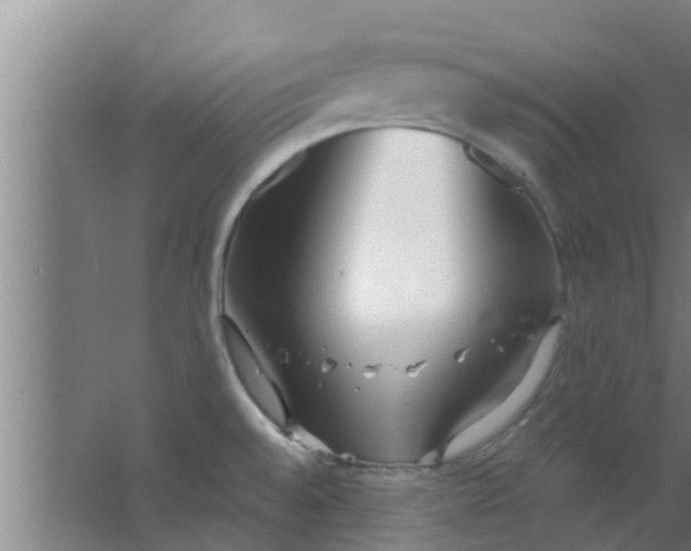 X0000063471528200602031846