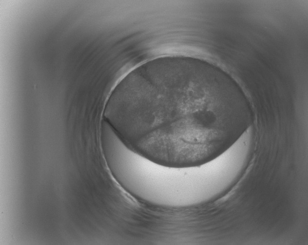 X0000063471529200602031846