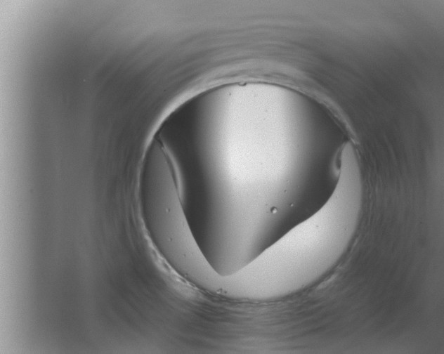 X0000063471530200602031846