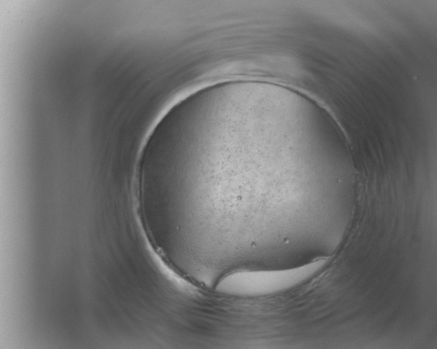 X0000063471531200602031847