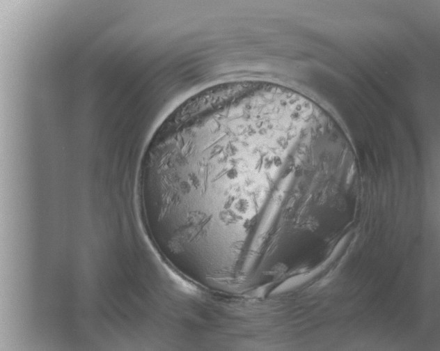 X0000063471533200602031847