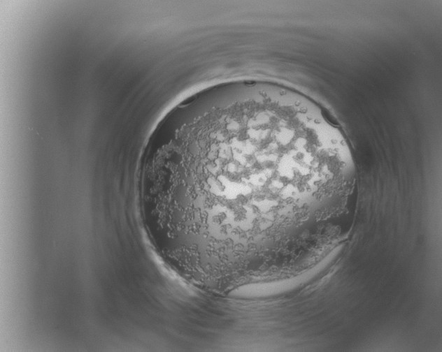 X0000063471534200602031847