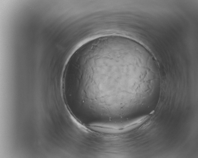 X0000063471535200602031847