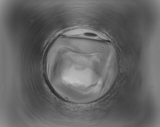 X0000063470002200602101752