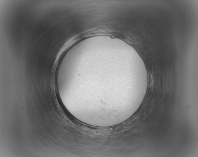 X0000063470004200602101752