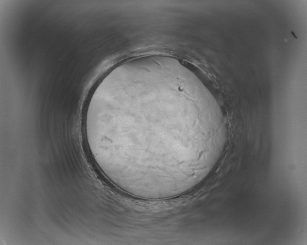 X0000063470006200602101752