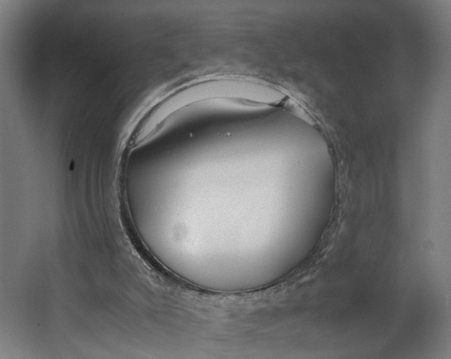 X0000063470007200602101752