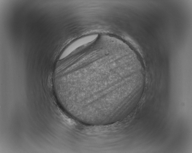 X0000063470009200602101752