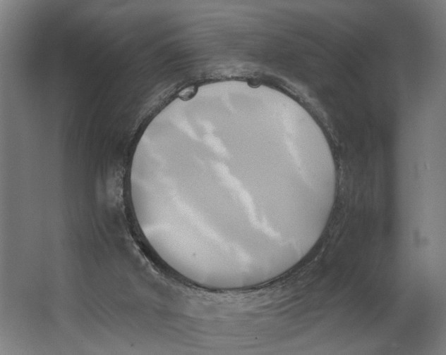 X0000063470010200602101752