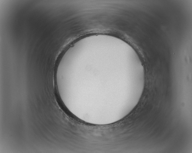 X0000063470011200602101752