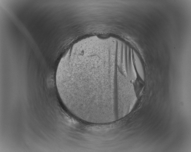 X0000063470017200602101752