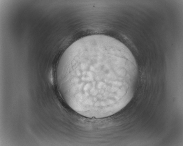 X0000063470026200602101752