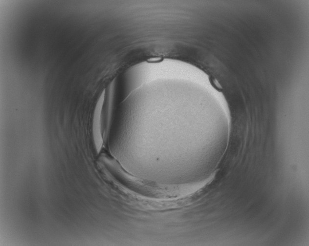 X0000063470031200602101752
