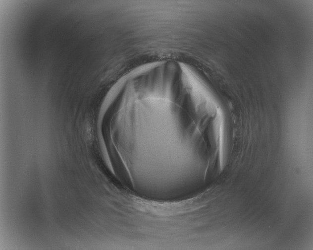 X0000063470039200602101752