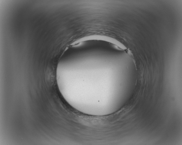 X0000063470040200602101752