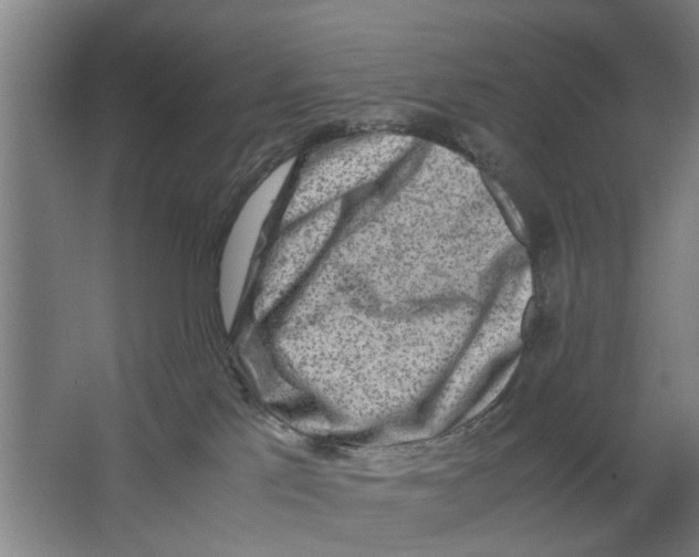 X0000063470041200602101752