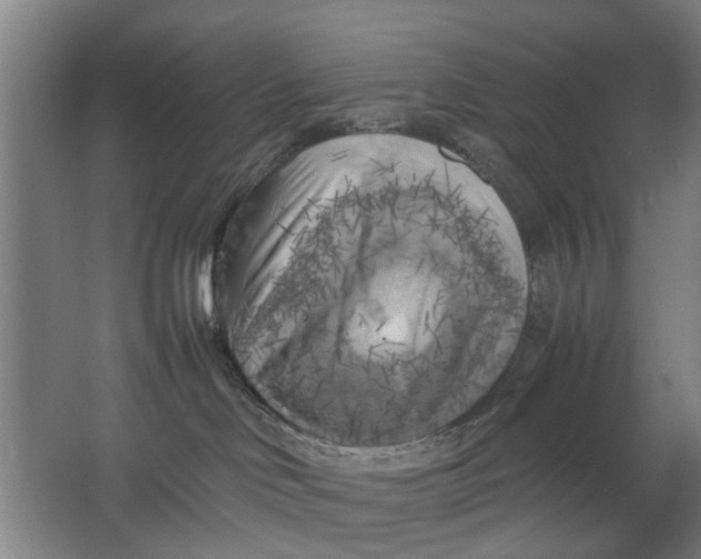 X0000063470046200602101752