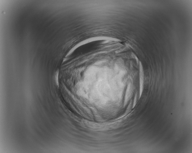 X0000063470047200602101752
