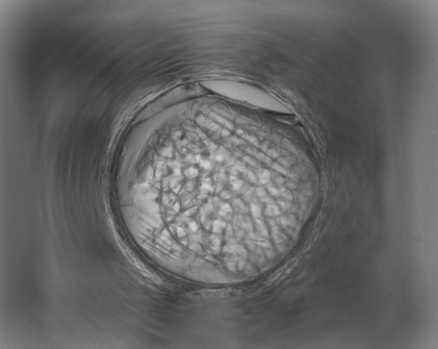 X0000063470049200602101751