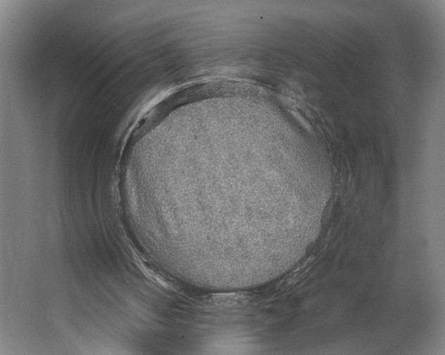 X0000063470050200602101751