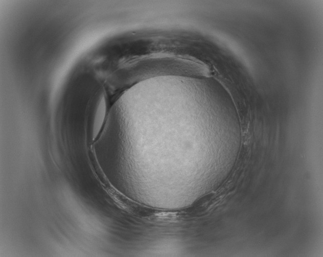 X0000063470052200602101751