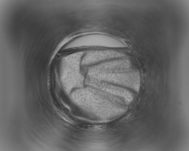 X0000063470056200602101751
