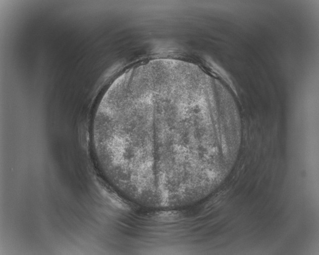 X0000063470059200602101751