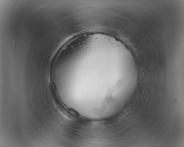 X0000063470060200602101751