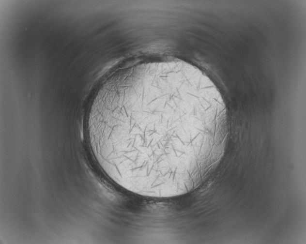 X0000063470062200602101751