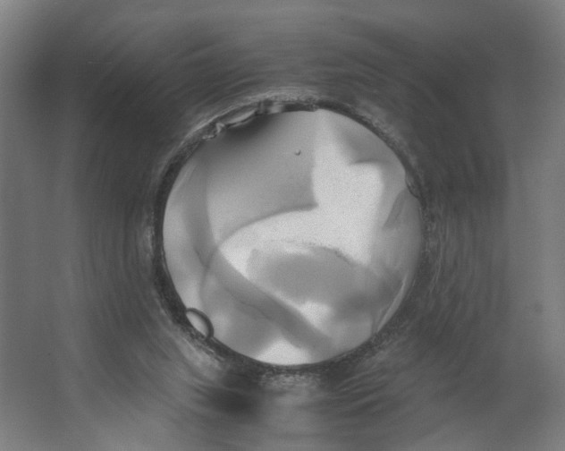 X0000063470063200602101751