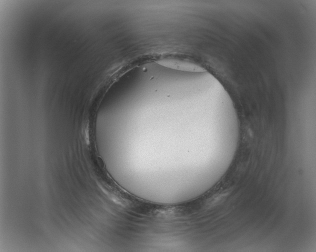 X0000063470068200602101751