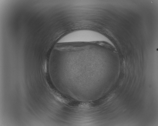 X0000063470076200602101751