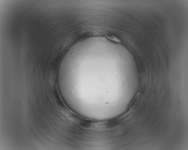 X0000063470078200602101751