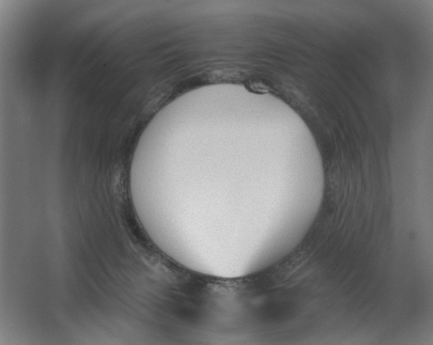 X0000063470079200602101751