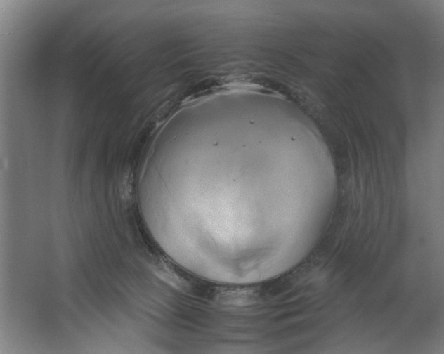 X0000063470081200602101751