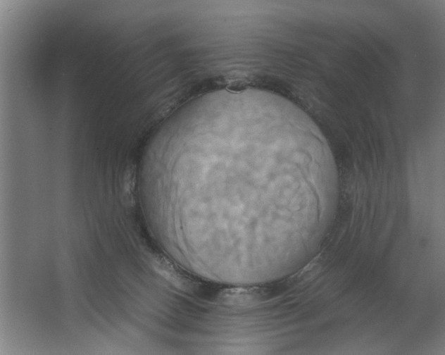 X0000063470082200602101751