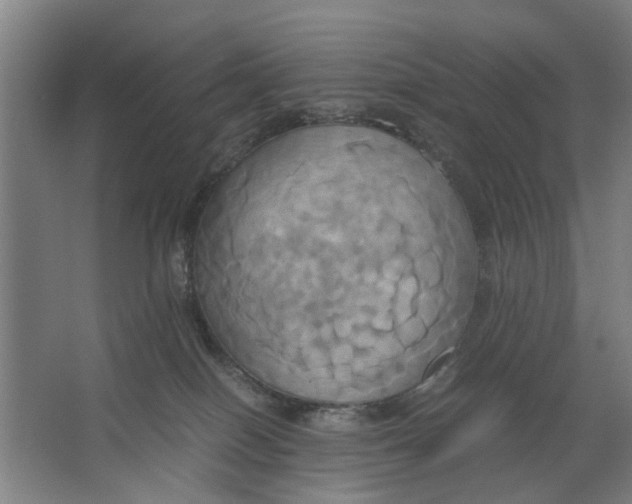 X0000063470086200602101751