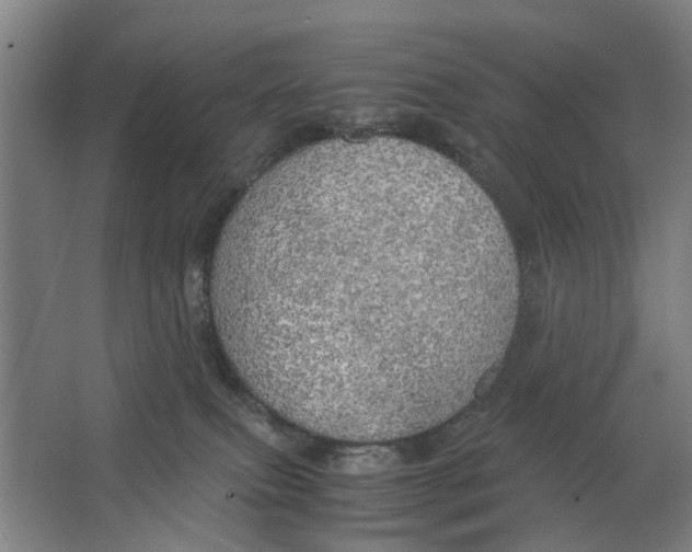 X0000063470087200602101751