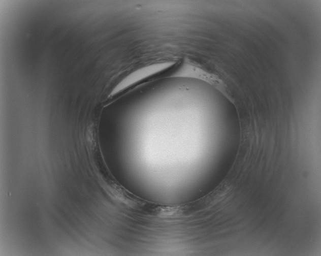 X0000063470088200602101751