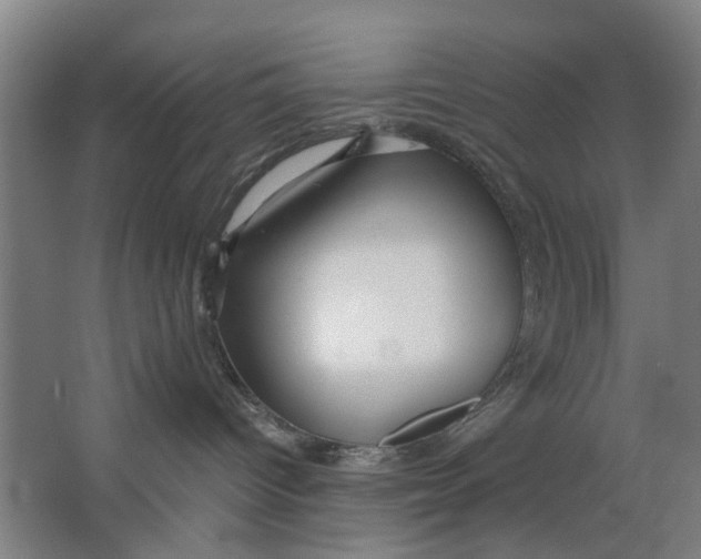 X0000063470096200602101752