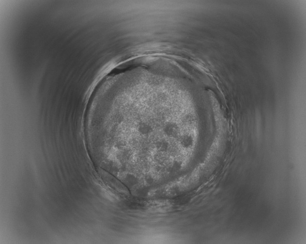 X0000063470099200602101751