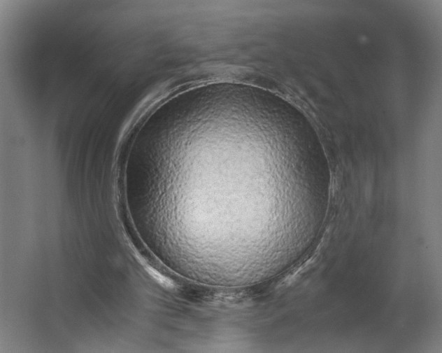 X0000063470101200602101751
