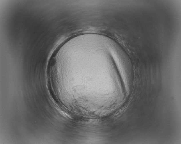 X0000063470102200602101751