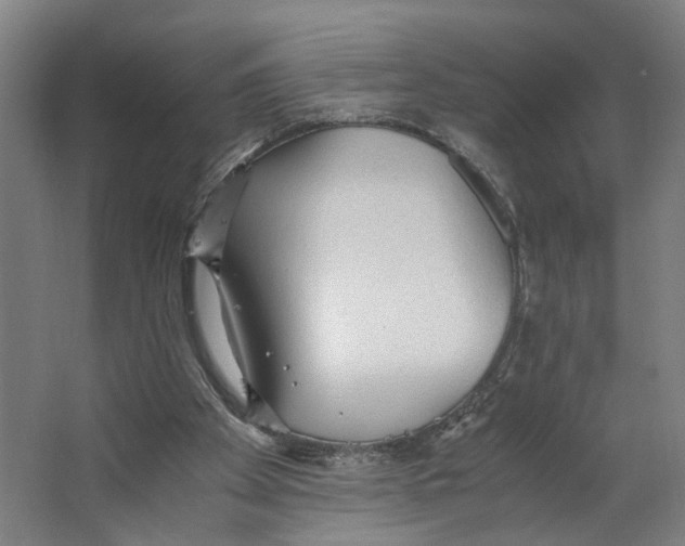 X0000063470105200602101751