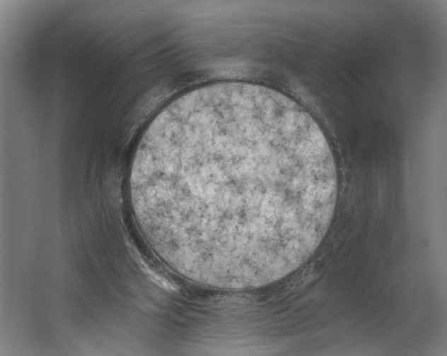 X0000063470106200602101751