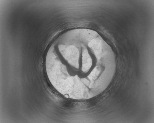 X0000063470107200602101751